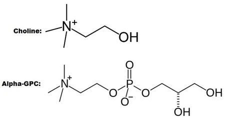 Alpha-GPC powder Alpha-GPC powder