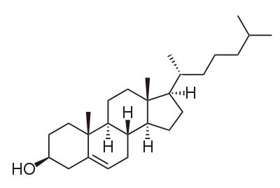 Phytosterol