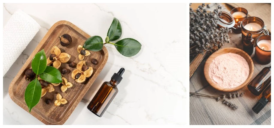 Camellia Seed Oil Related Products Camellia Seed Oil Related Products