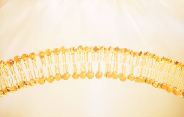 info-440-282 info-440-282