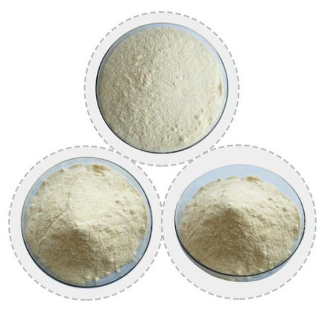 Sunflower Oil Powder CWS