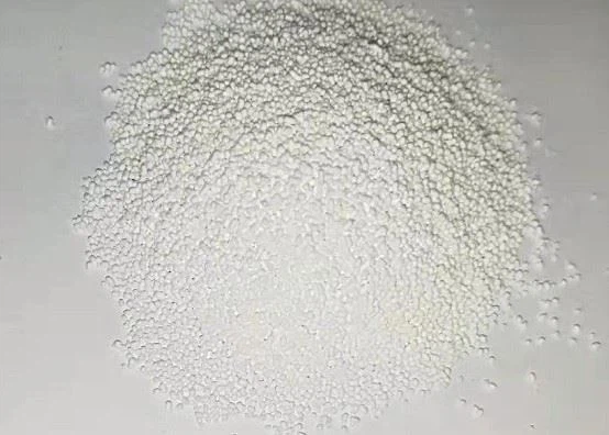 Sustained Release BCAA